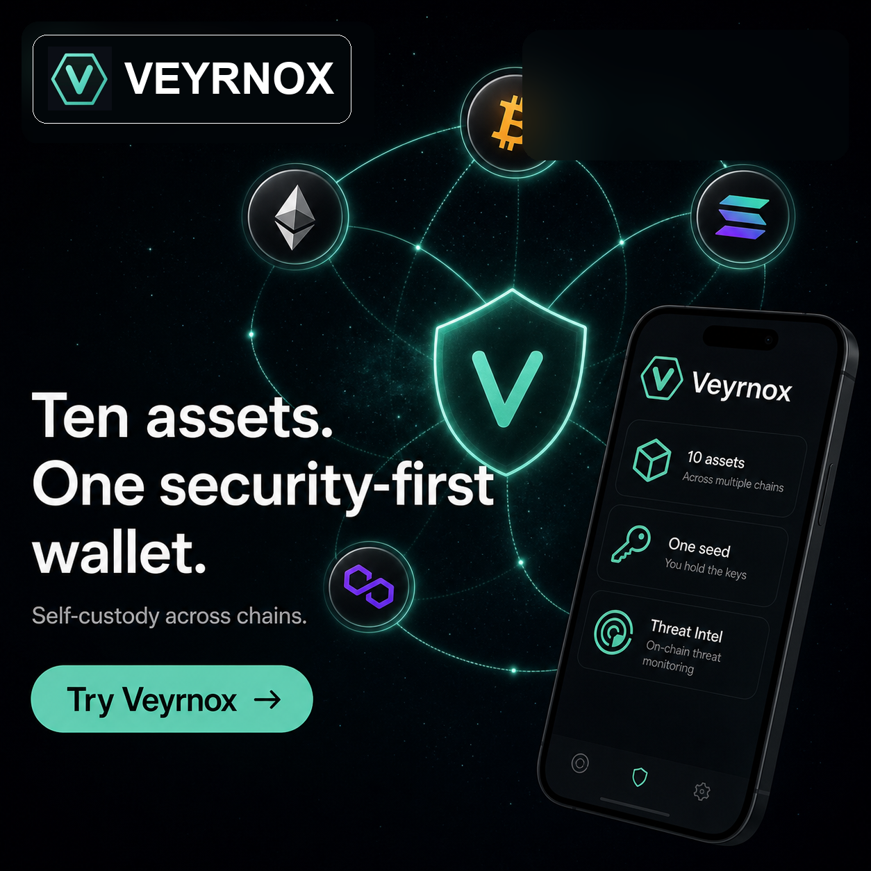 Multi-chain wallet: 10 chains in one iOS app with self-custody